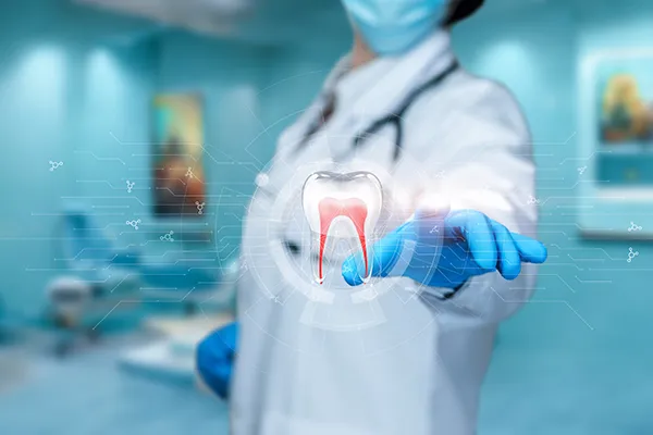 doctor holding tooth model