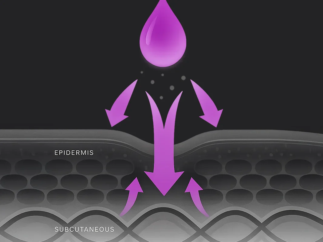Illustration showing how the skin absorbs nutrients from a custom facial through its various layers.