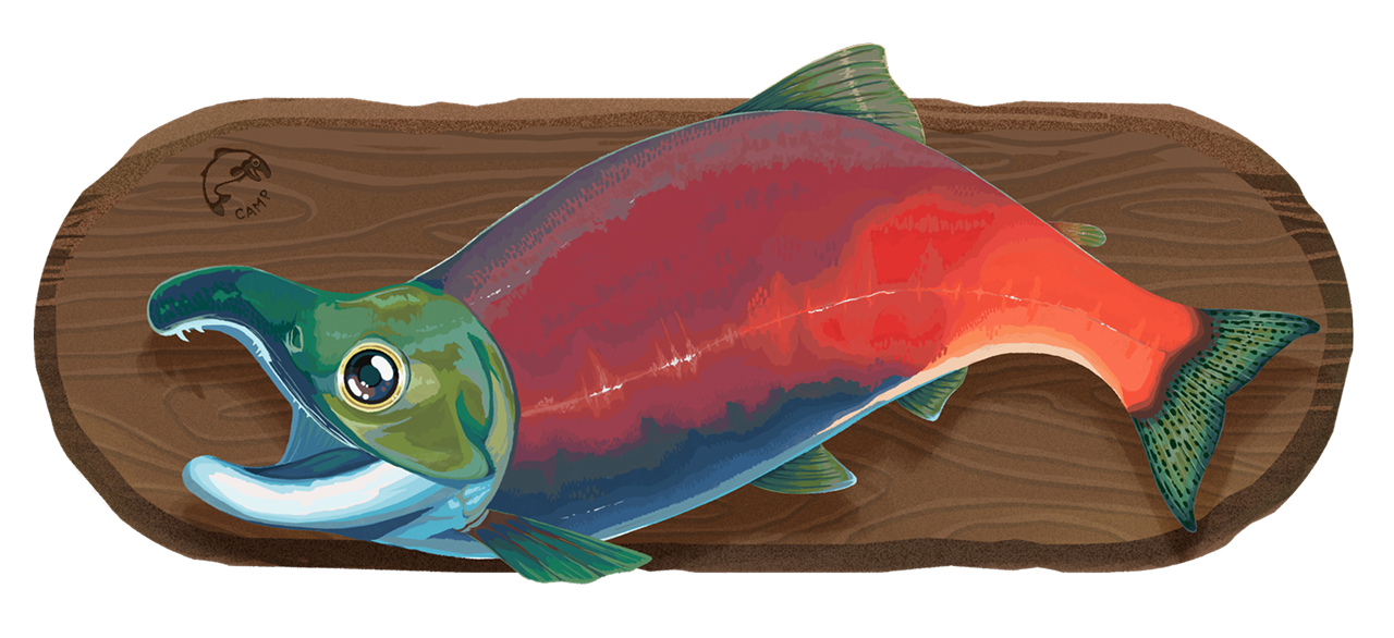 Illustration of Kokanee Salmon on plaque