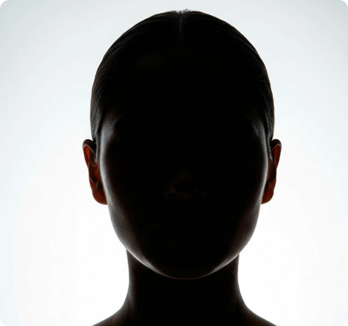 Project V1 Image