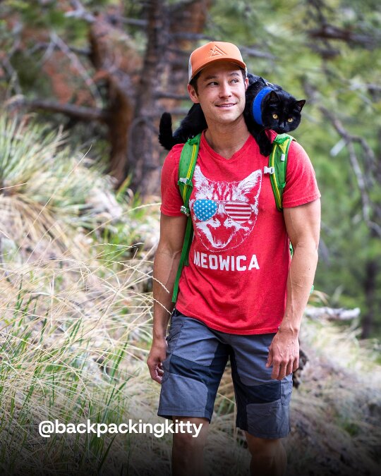 Backpacking Kitty