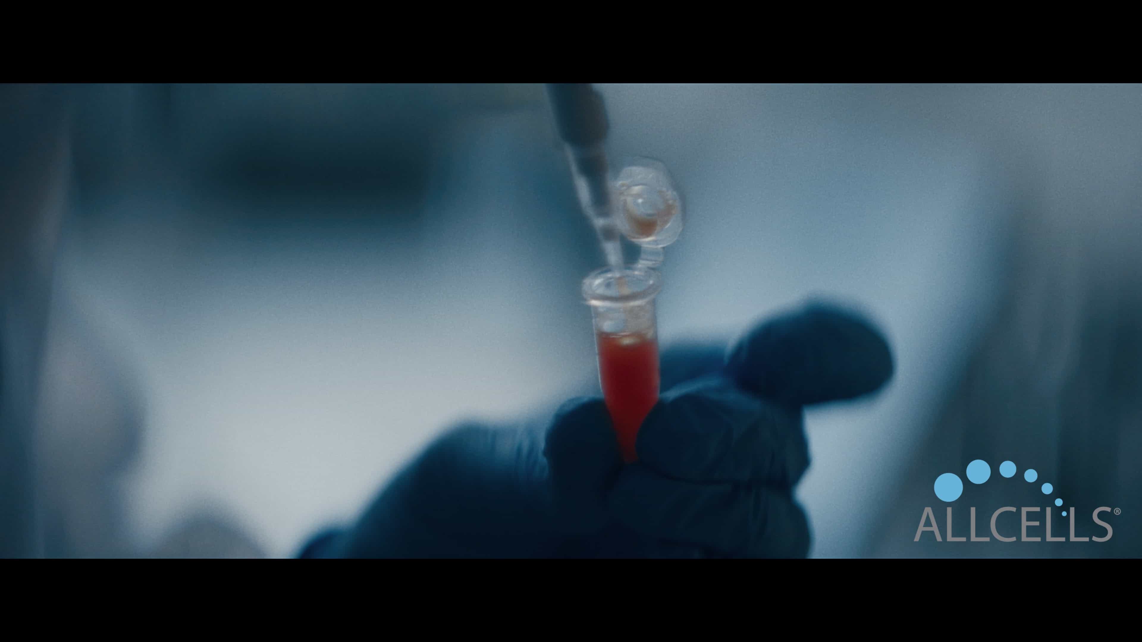 AllCells