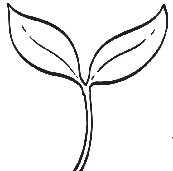 An illustration of a sprout, representing The Sprout package