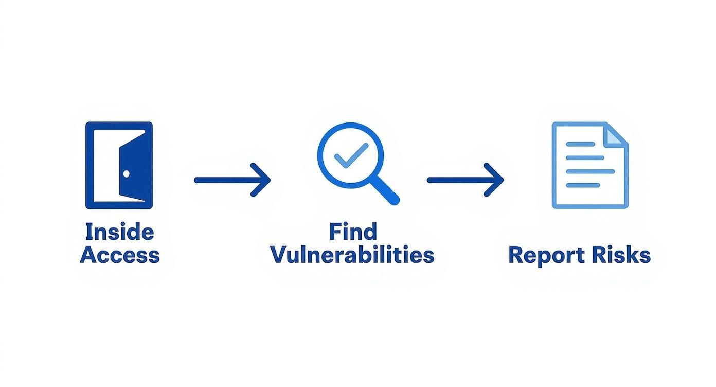 A diagram illustrating the three-step process: Inside Access, Find Vulnerabilities, and Report Risks.