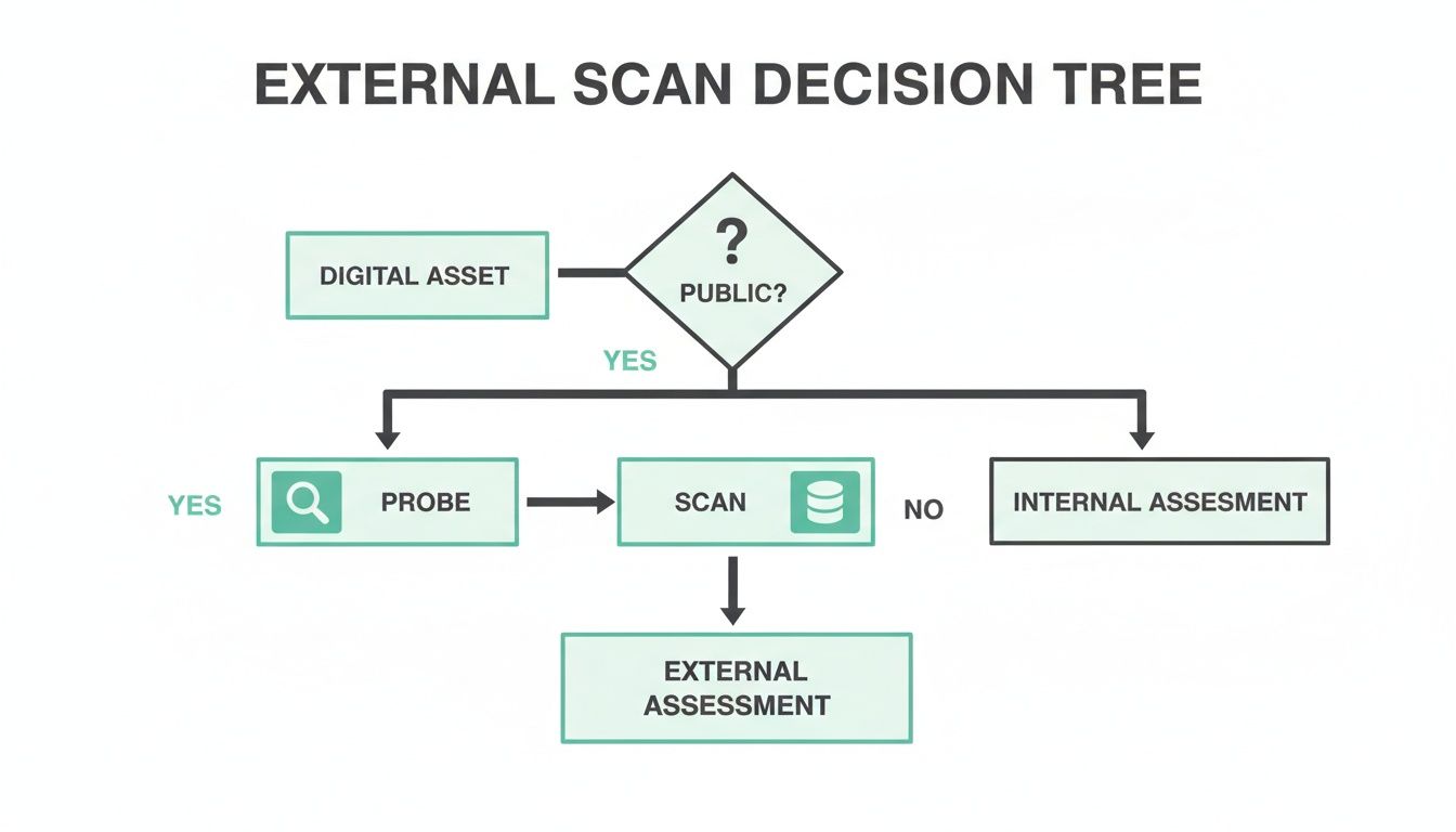 A flowchart detailing an external scan decision tree, guiding digital assets through public assessment or internal assessment.