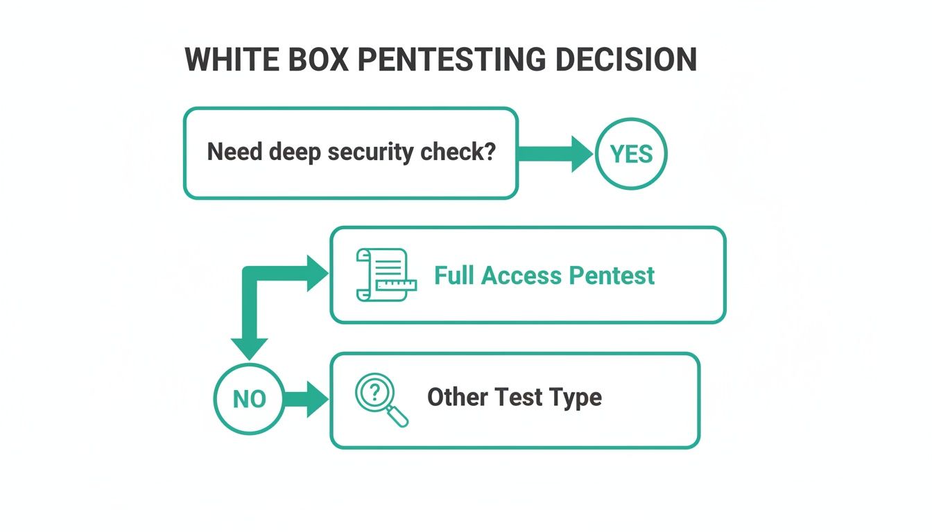 Flowchart outlining the White Box Pentesting decision process for deep security checks.
