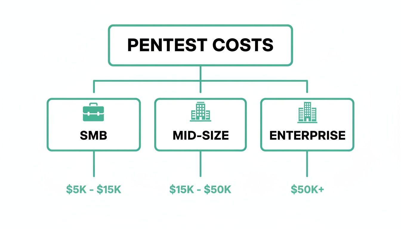 Flowchart showing pentest costs for SMB ($5K-$15K), Mid-Size ($15K-$50K), and Enterprise ($50K+) businesses.