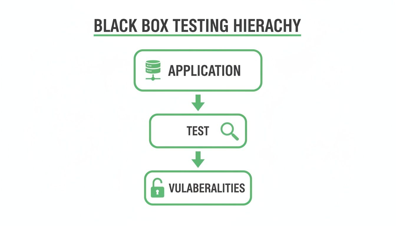 Flowchart illustrating the black box testing hierarchy from application to discovering vulnerabilities.
