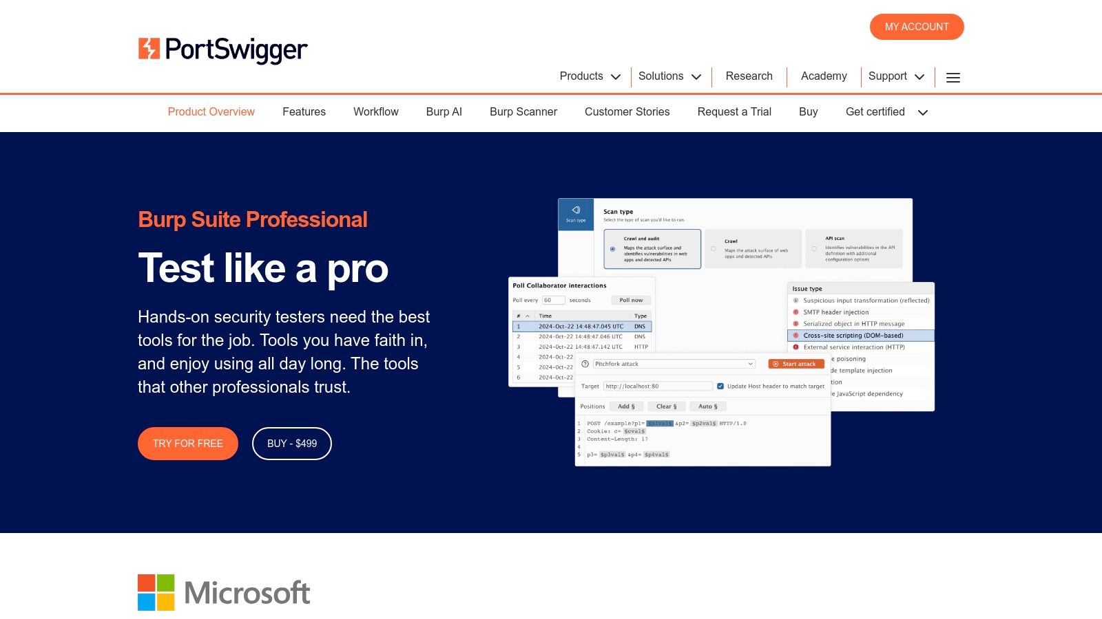 Burp Suite Professional (PortSwigger)