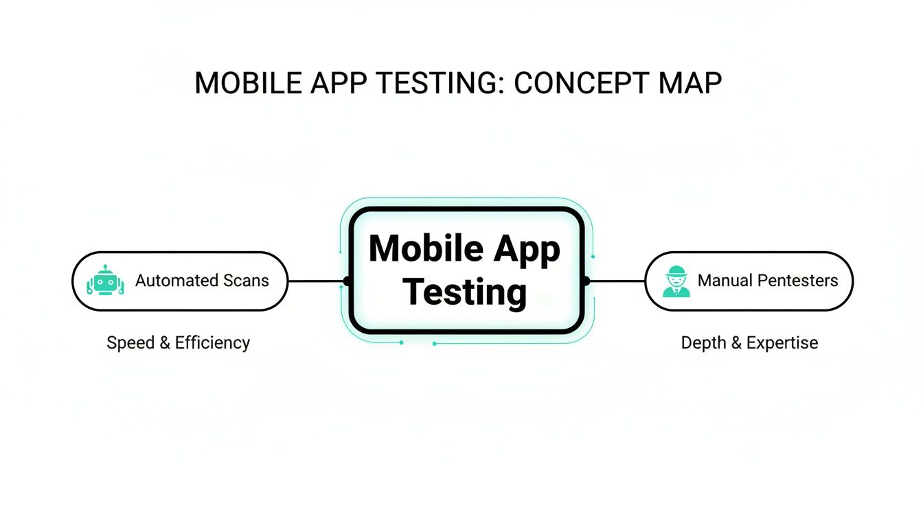 A concept map outlines mobile app testing methods: automated scans for efficiency and manual pentesting for expertise.