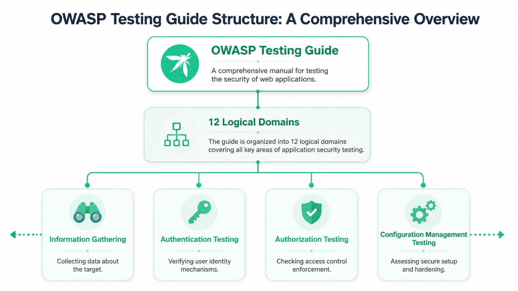 A structured flowchart illustrating the key domains of the OWASP Testing Guide for web application security.