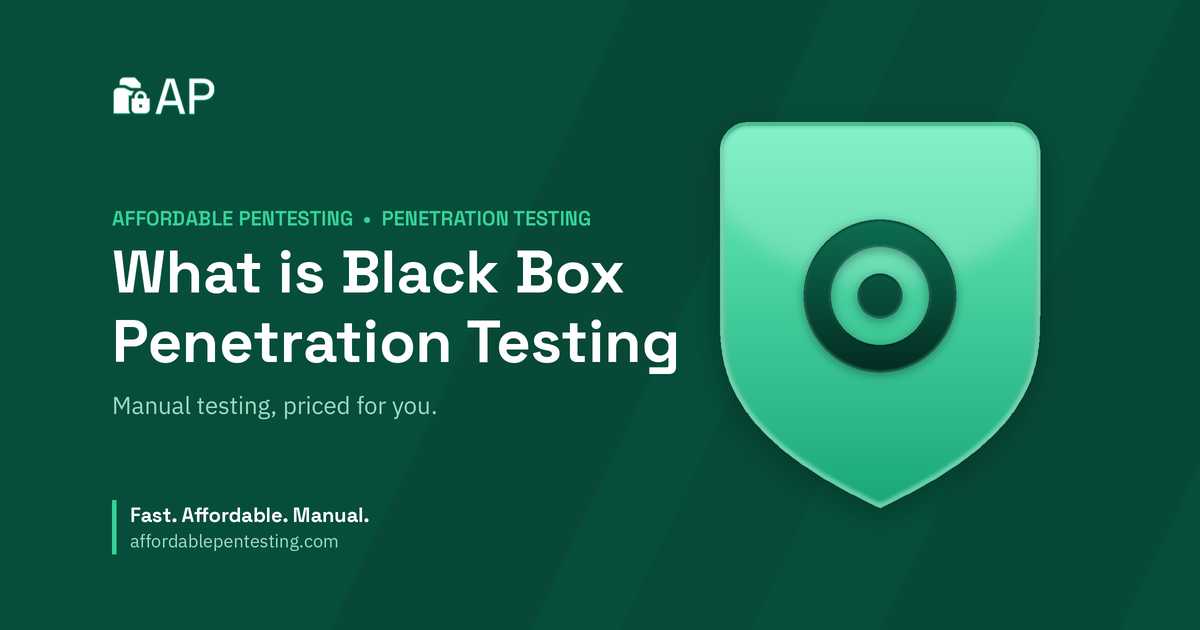 What is Black Box Penetration Testing title card with a target icon in the Affordable Pentesting brand style.