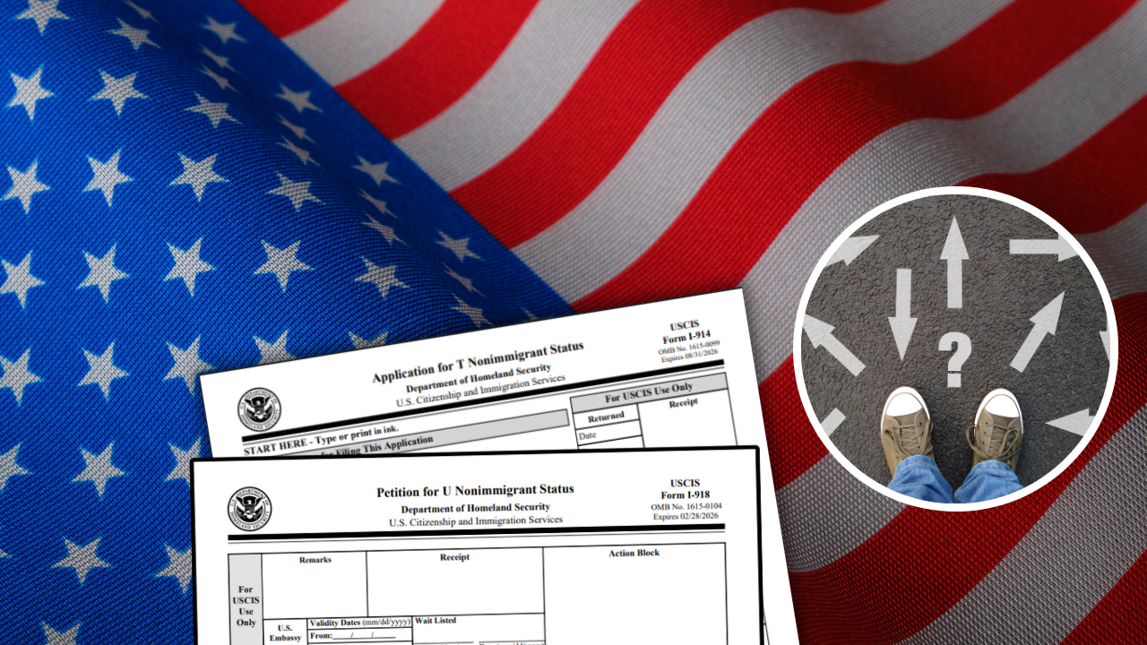 A close-up of a flagAI-generated content may be incorrect.