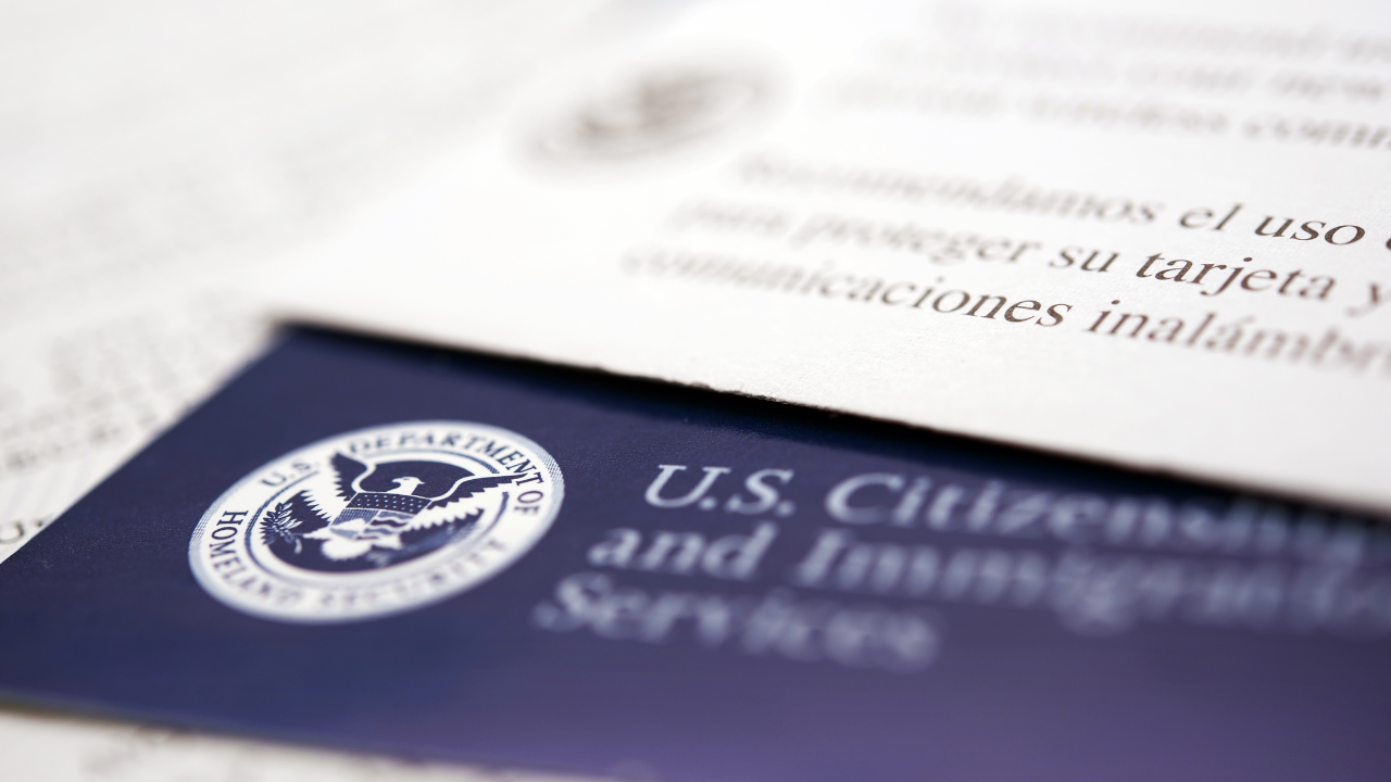 immigration logo