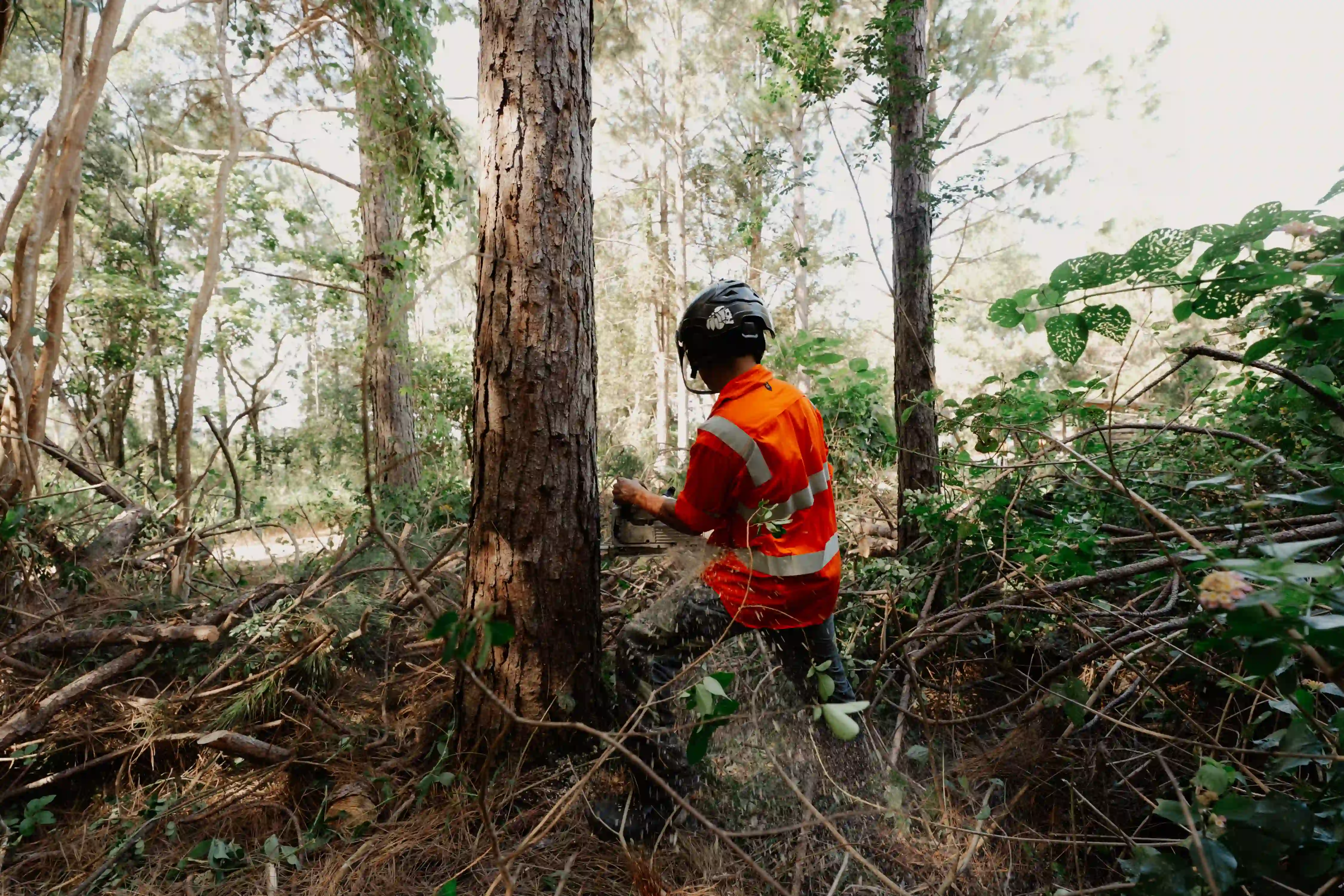 A man in an orange jacket standing in a forest.