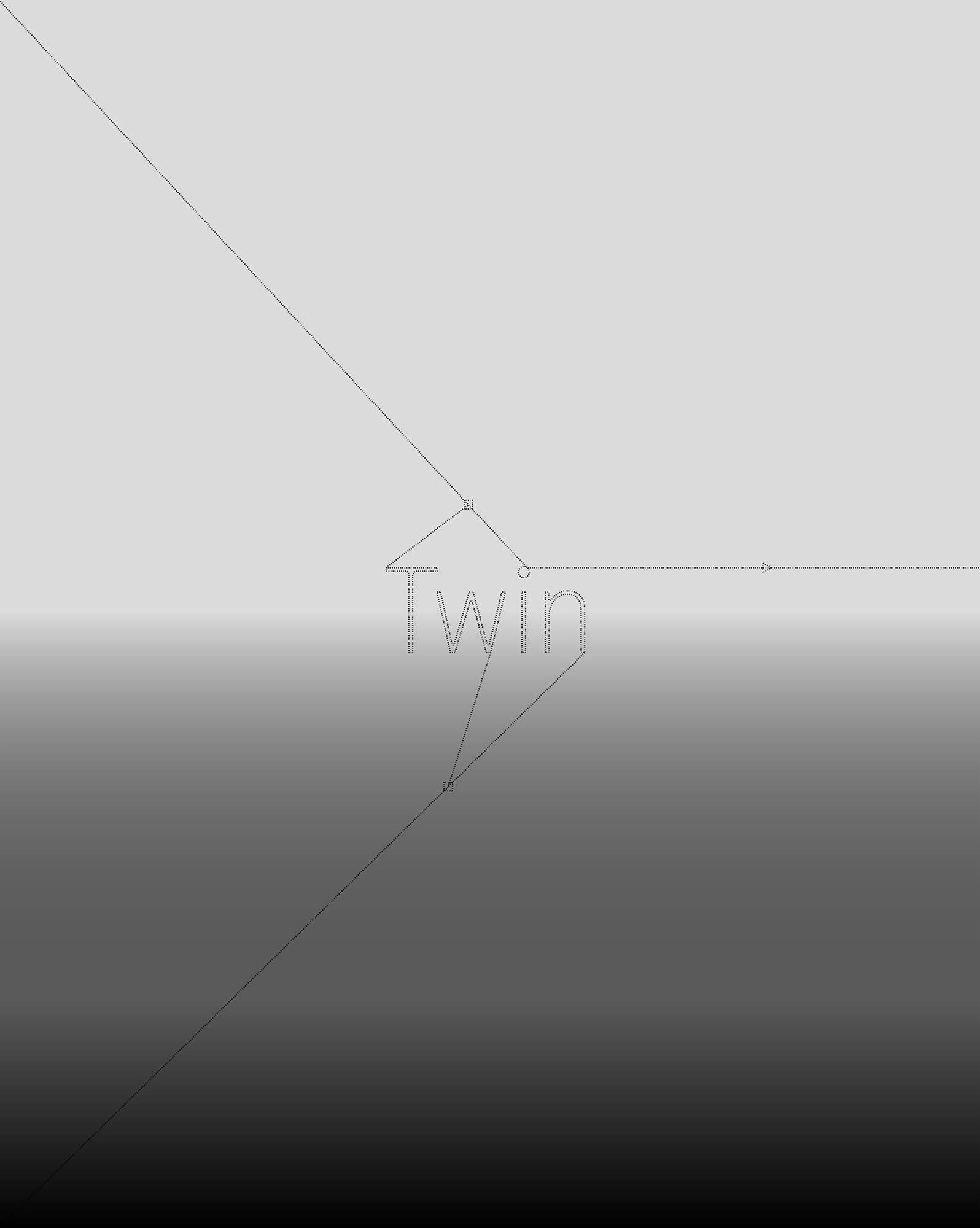 3D model wireframe with the text 'Twin' at the center connected by arrows and lines on a gradient background.