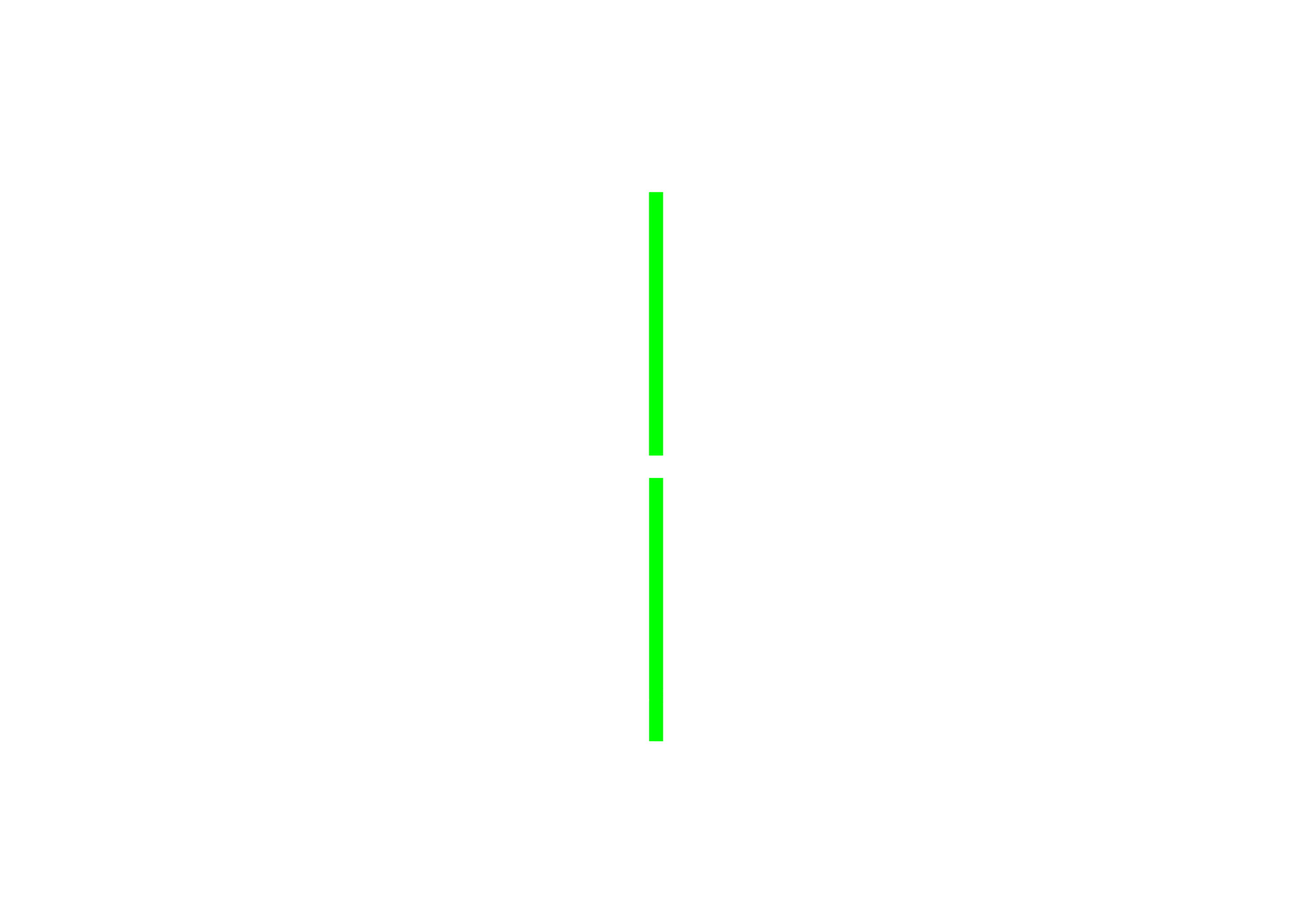 Logo with the text 'DIGITAL TWIN' in white capital letters on a black background, separated by two vertical green lines.