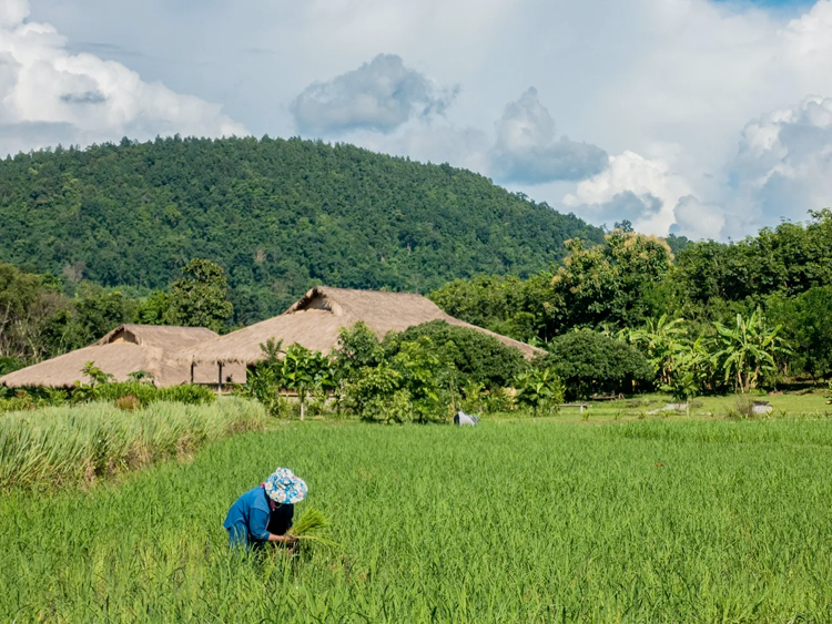 A leading reinsurance company, Lexasure enables insurance companies to intelligently manage risk, accelerate growth, and optimize investment returns while leveraging advanced technology, including machine learning, big data analysis, and AI.
