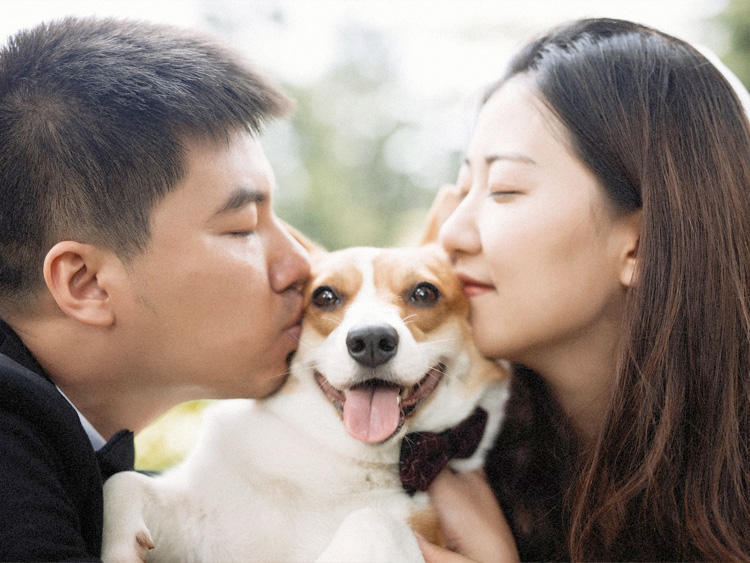 As Asia’s leading insurance tech company, Lexasure is driving adoption of digital insurance to create products that are scalable, efficient, and responsive to local needs.