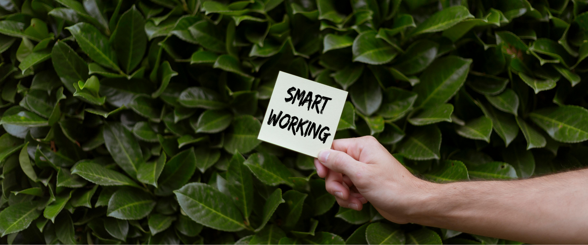 Navigating the next big change