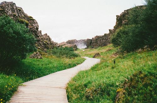 The Path to Wellness: Listening to Your Body's Natural Rhythm