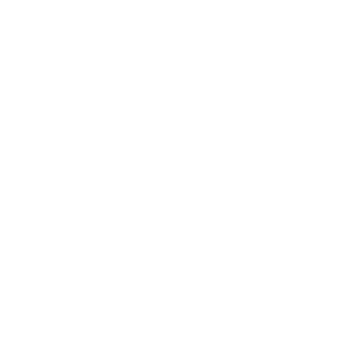 Branding icon