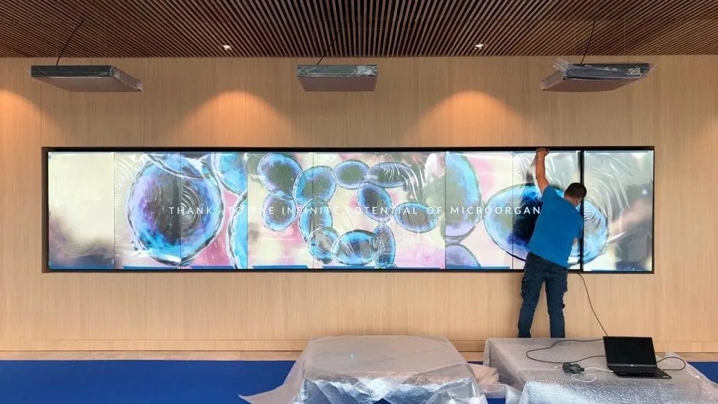 Un homme installe un grand écran mural affichant une image de cellules avec le texte « Thanks to the infinite potential of microorganisms ».