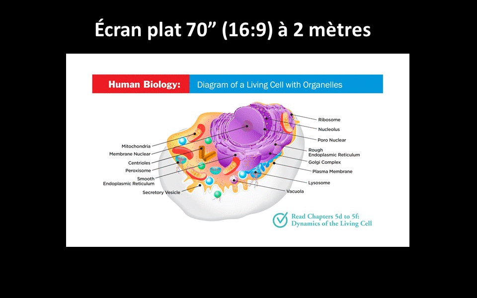 gif écran distance
