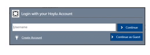 L'accès spectateur vous permet d'ouvrir en lecture seule un fichier Hoylu.
