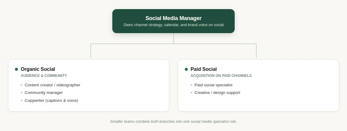 Org chart of a social media team, split into organic social and paid social branches under a Social Media Manager.