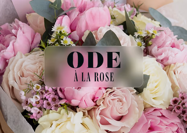 Featured image for the Ode à la Rose case study on scaling email marketing with a Growth Assistant