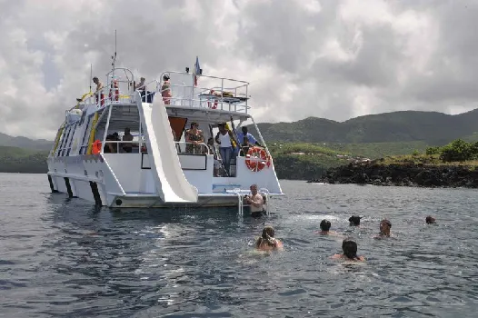 A group of people swimming at the sea
