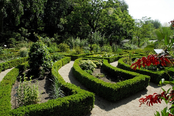 HORTUS BOTANICUS AMSTERDAM