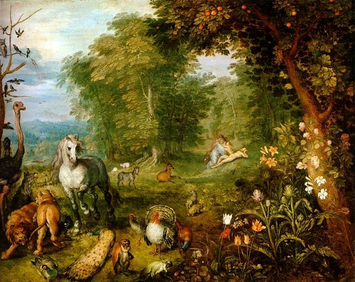 De hovenier in vogelvlucht
