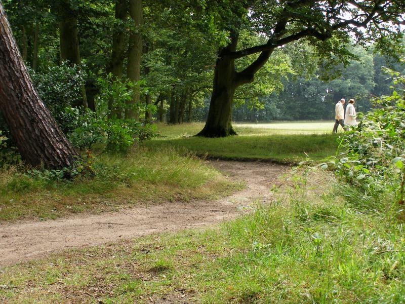 BEECKESTIJN DEEL VAN ENGELSE LANDSCHAPSTIJL