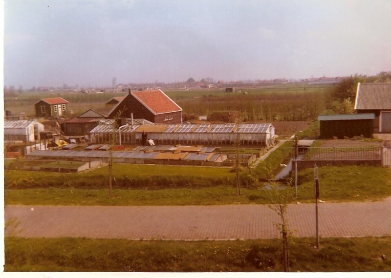 HOFLAAN te DELFT 1964-1978