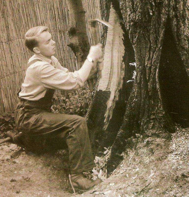 JORN COPIJN HAKT ROT HOUT WEG