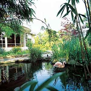 Kensington roof gardens
