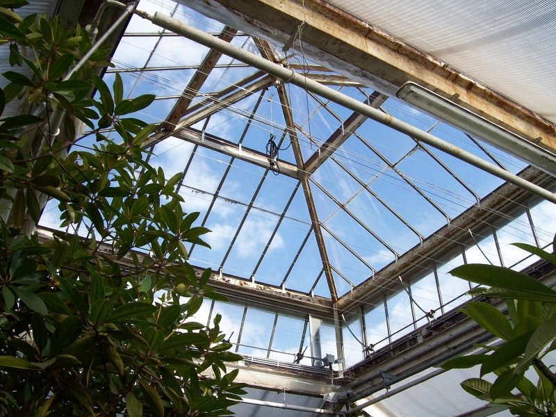 HORTUS LEIDEN