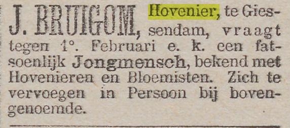 1881