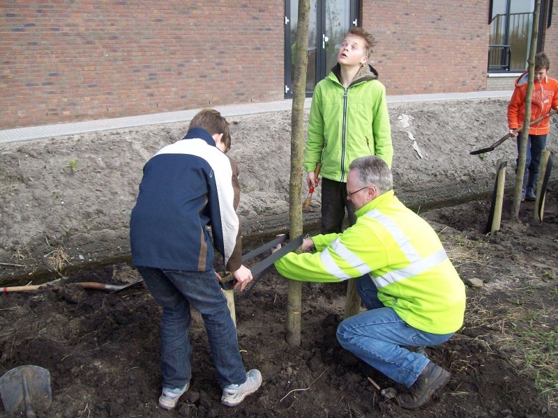 PRAKTIJKLES BOOM PLANTEN