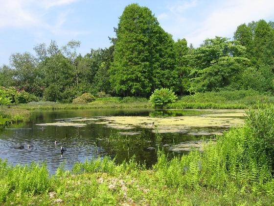 JAC P. THIJSSEPARK AMSTELVEEN