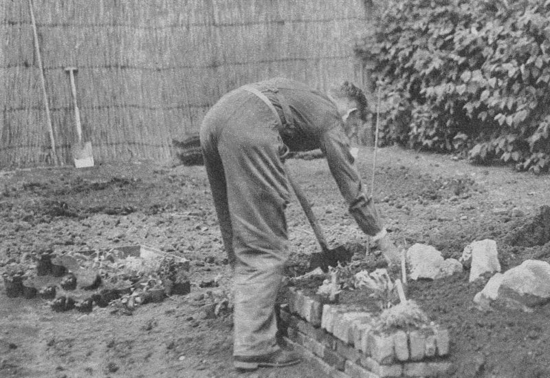 foto 4. Heel belangrijk was toen de juiste planten in een z.g. Rotspartij aanbrengen. ( zie de rotsblokken liggen).