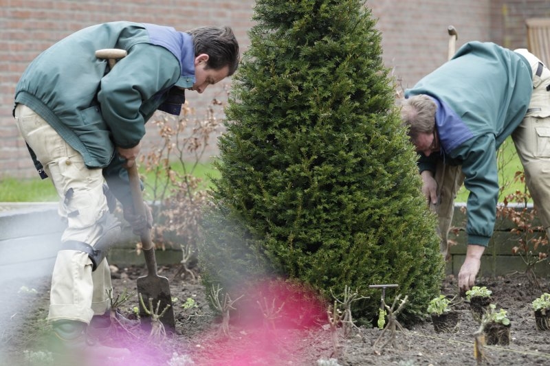 Hovenier en stagiair van erkend leerbedrijf Zaaijer aan het werk in de tuin van een klant mei 2010
