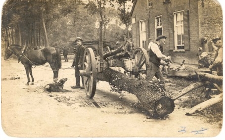 Foto archief boomrooierij Weijtmans