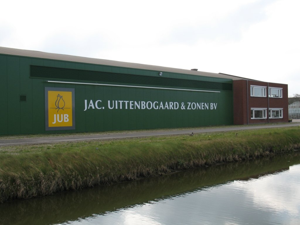 Huidige vestiging: Jac. Uittenbogaard & Zonen b.v. Robijnlaan 44 Noordwijkerhout