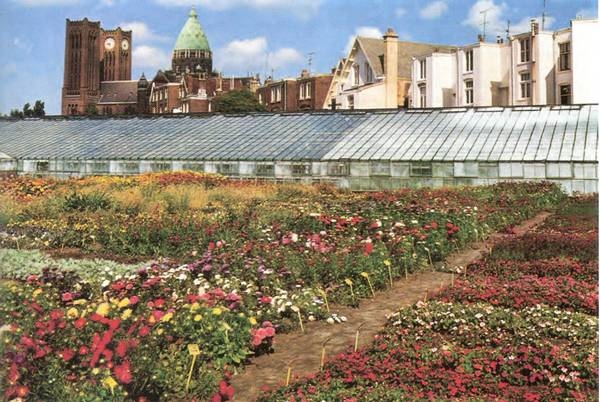 Proeftuin van Tubergen 1974