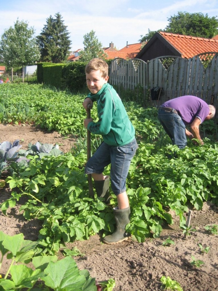 Schooltuin in Zutphen