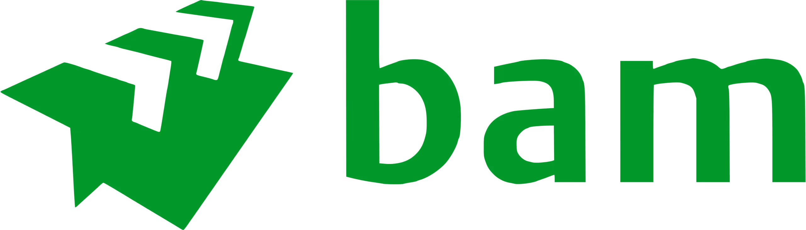 BAM