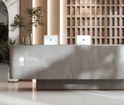 A modern concrete effect counter with a plant in the corner.